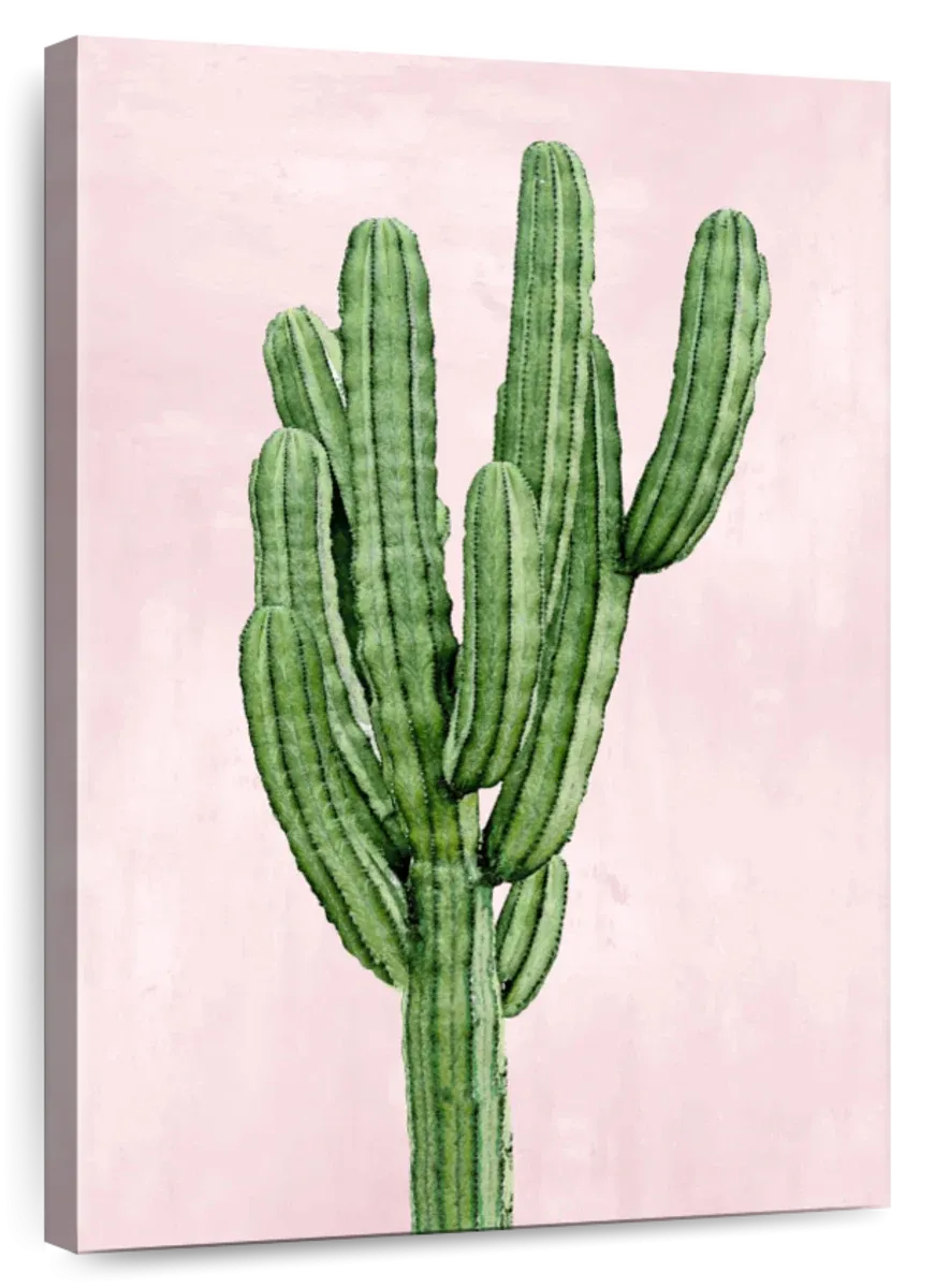 A Cactus On Pink I Wall Art