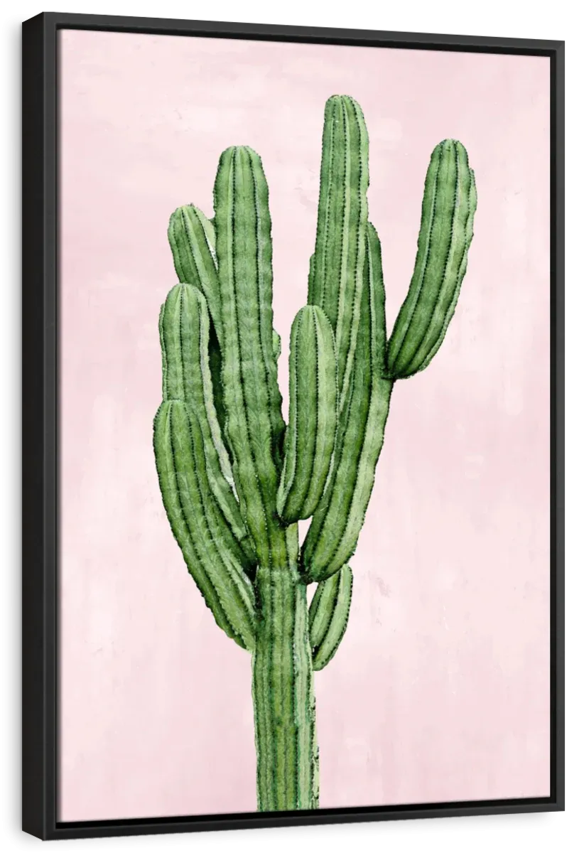 A Cactus On Pink I Wall Art