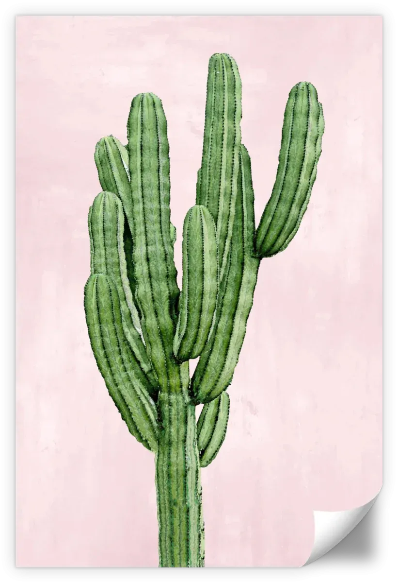 A Cactus On Pink I Wall Art