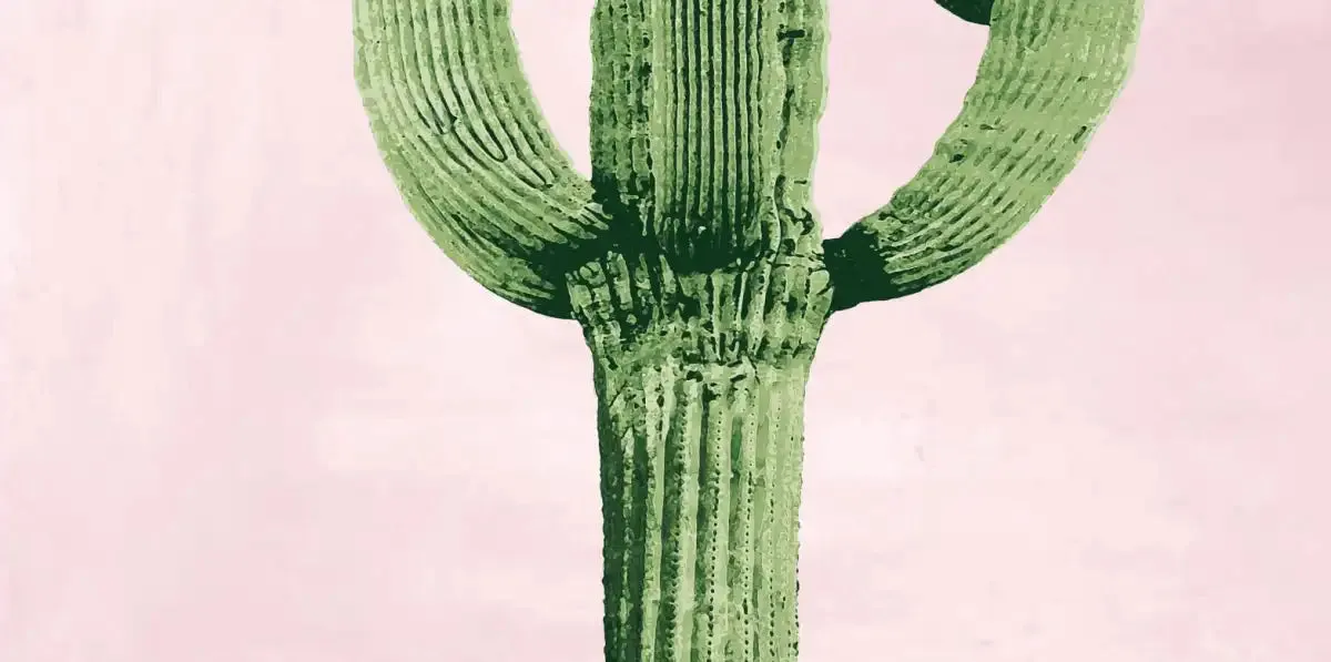 A Cactus On Pink II Wall Art