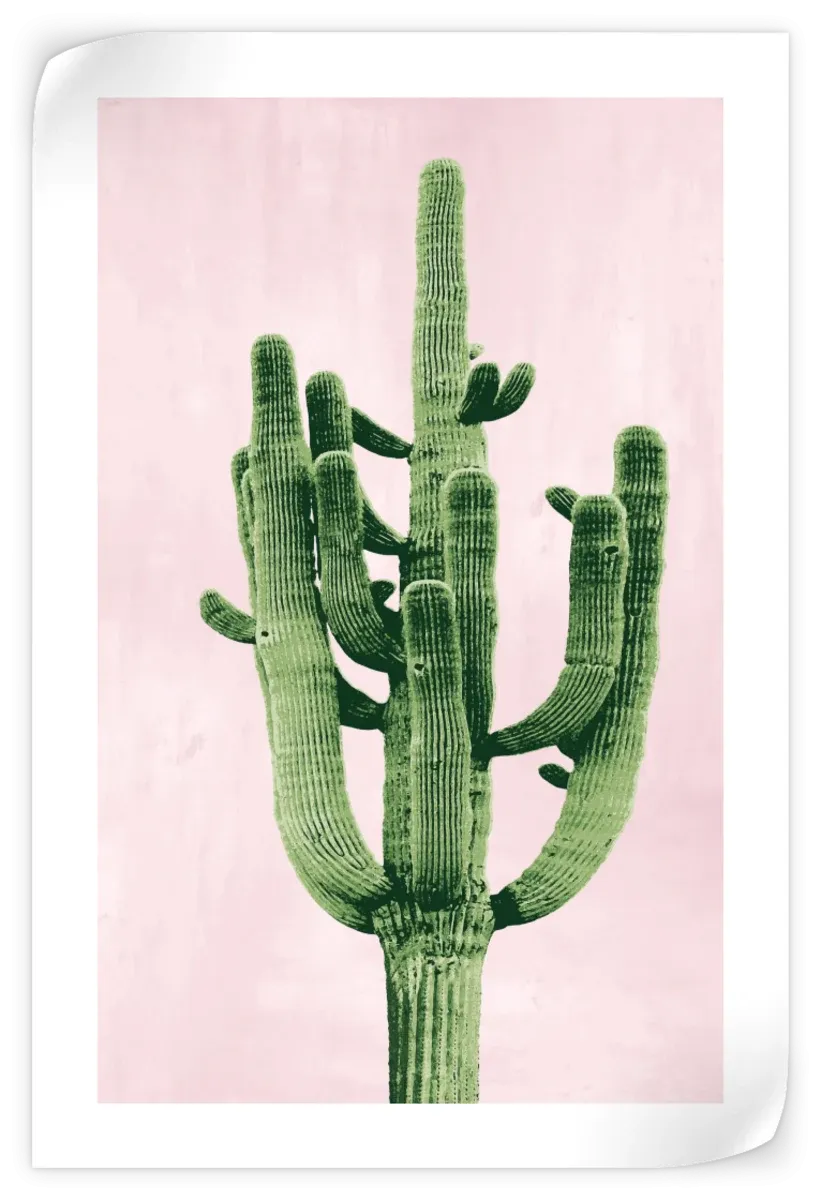 A Cactus On Pink II Wall Art