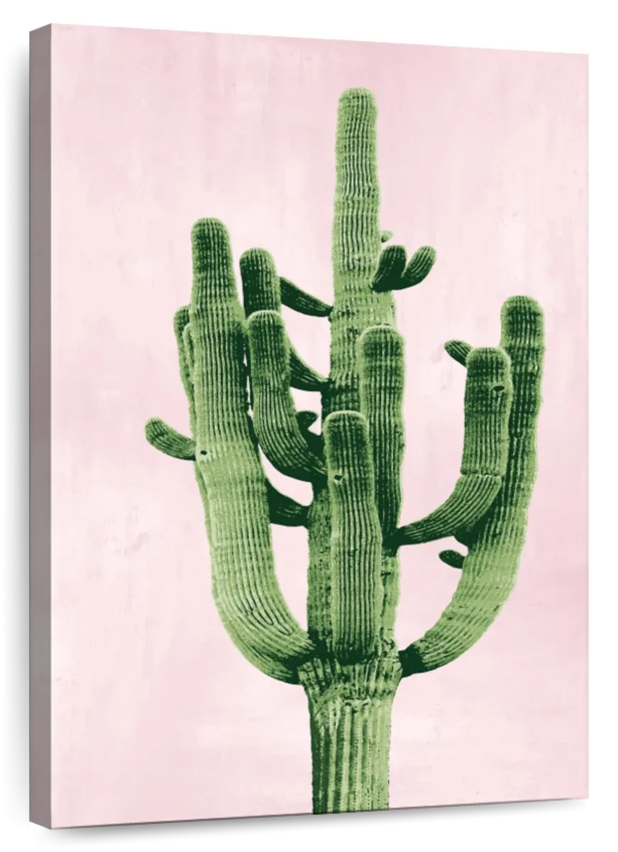 A Cactus On Pink II Wall Art