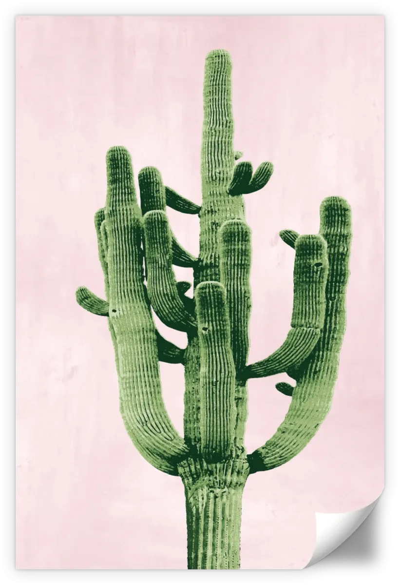 A Cactus On Pink II Wall Art