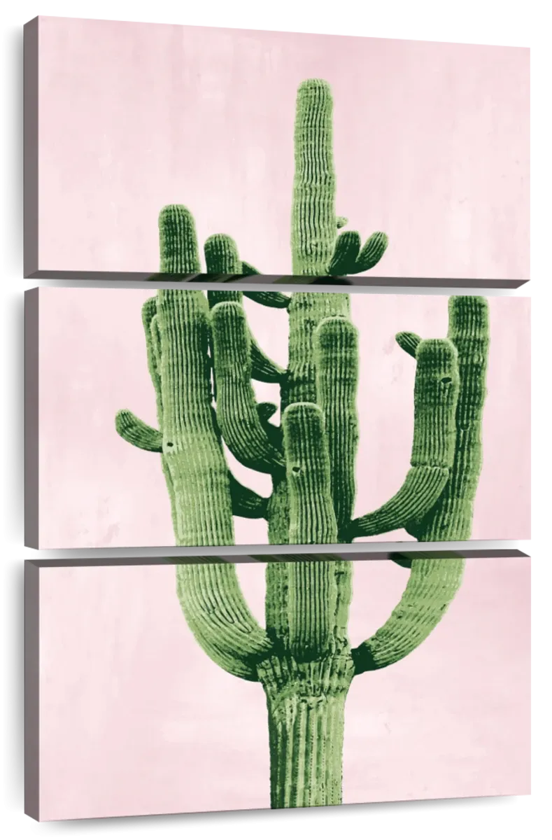 A Cactus On Pink II Wall Art