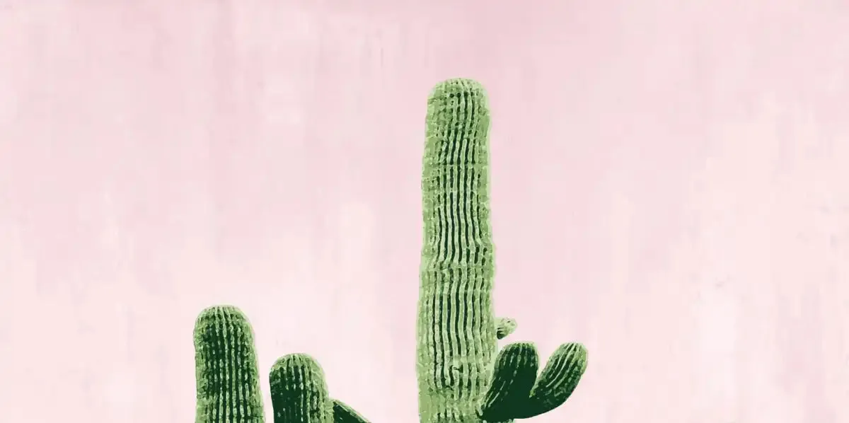 A Cactus On Pink II Wall Art