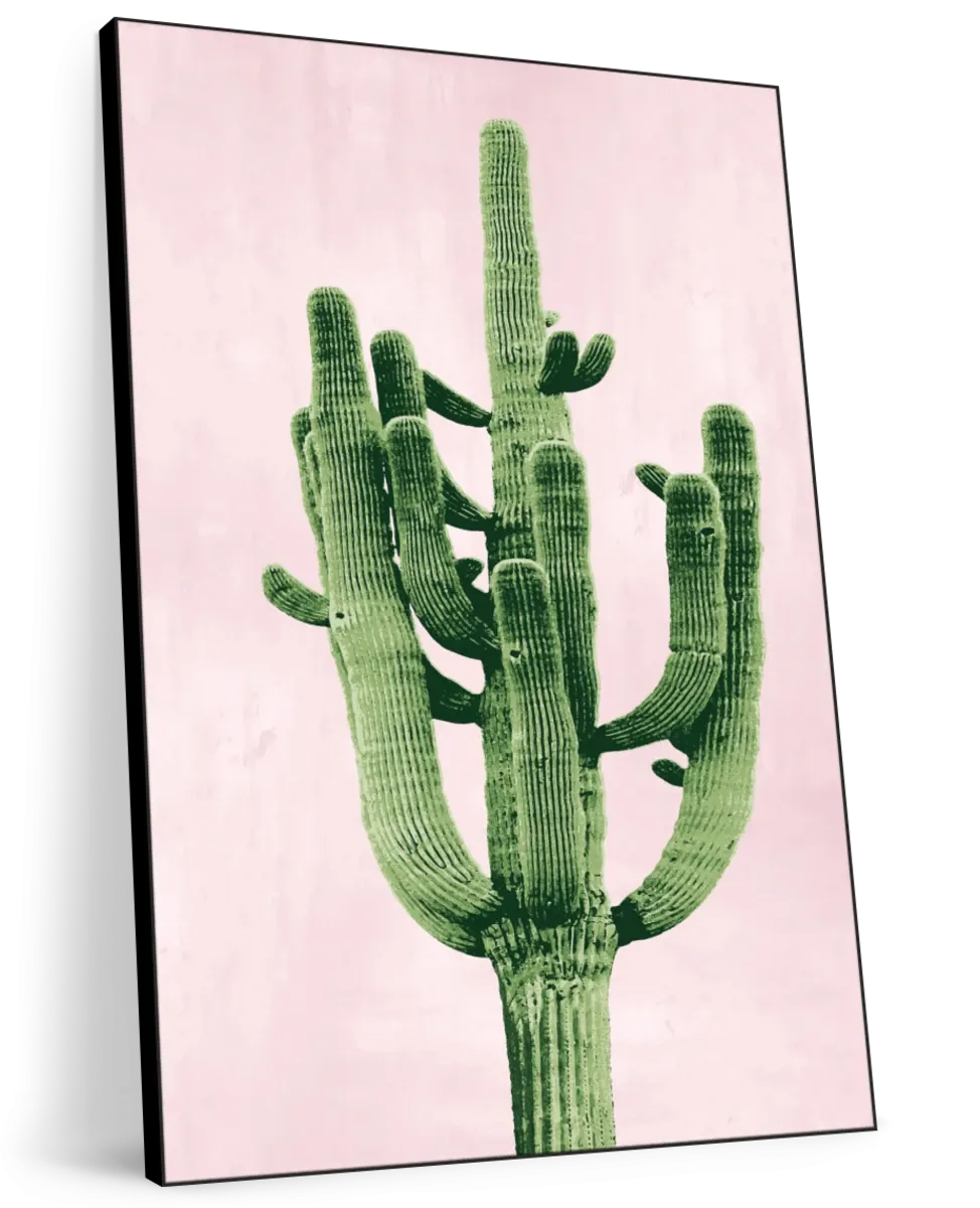 A Cactus On Pink II Wall Art