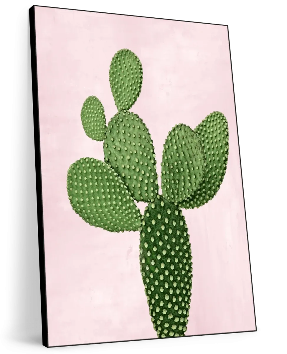 A Cactus On Pink V Wall Art