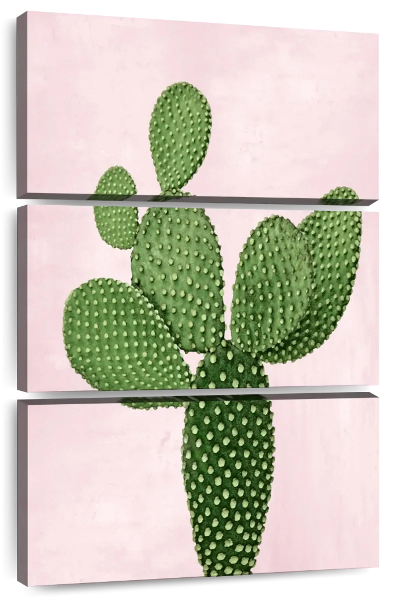 A Cactus On Pink V Wall Art