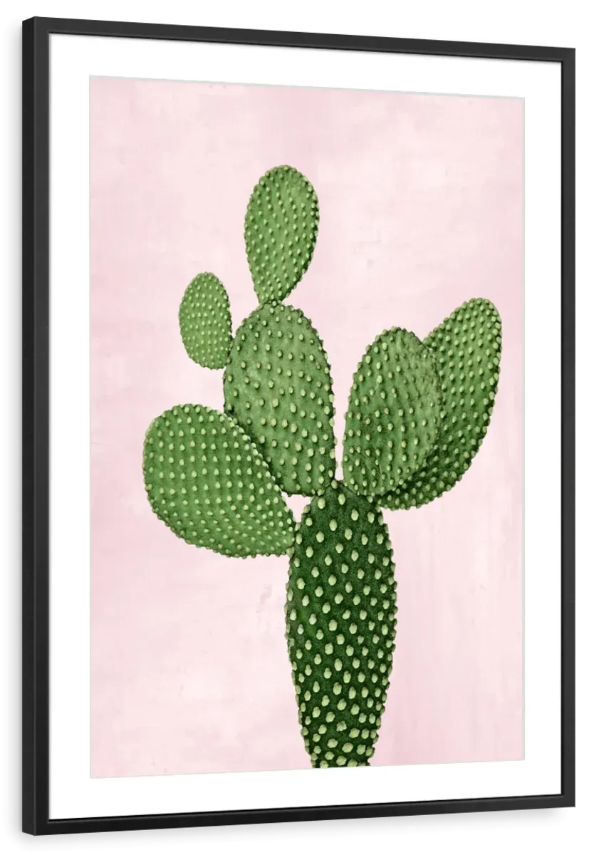 A Cactus On Pink V Wall Art