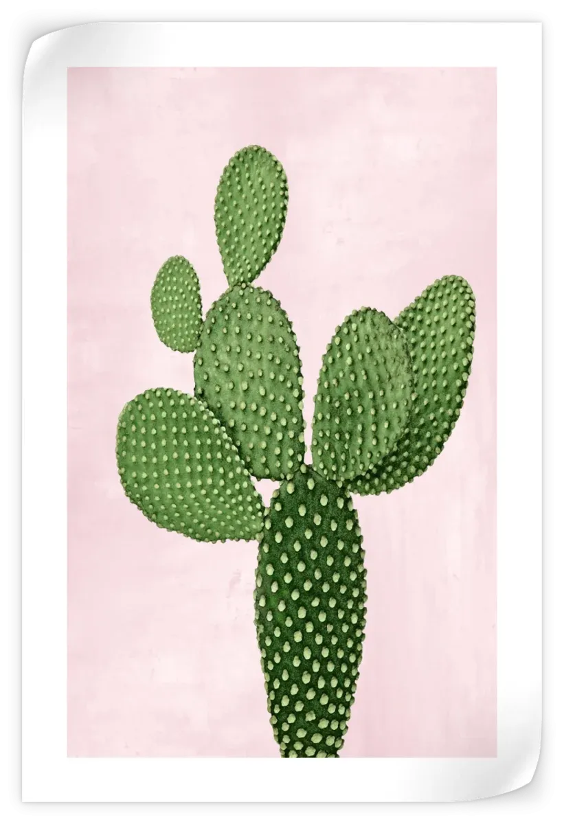 A Cactus On Pink V Wall Art