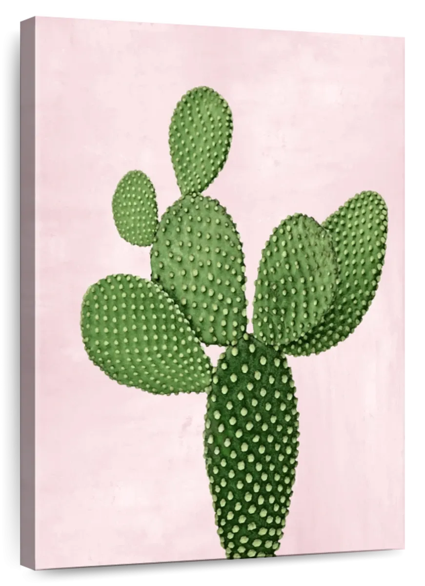 A Cactus On Pink V Wall Art