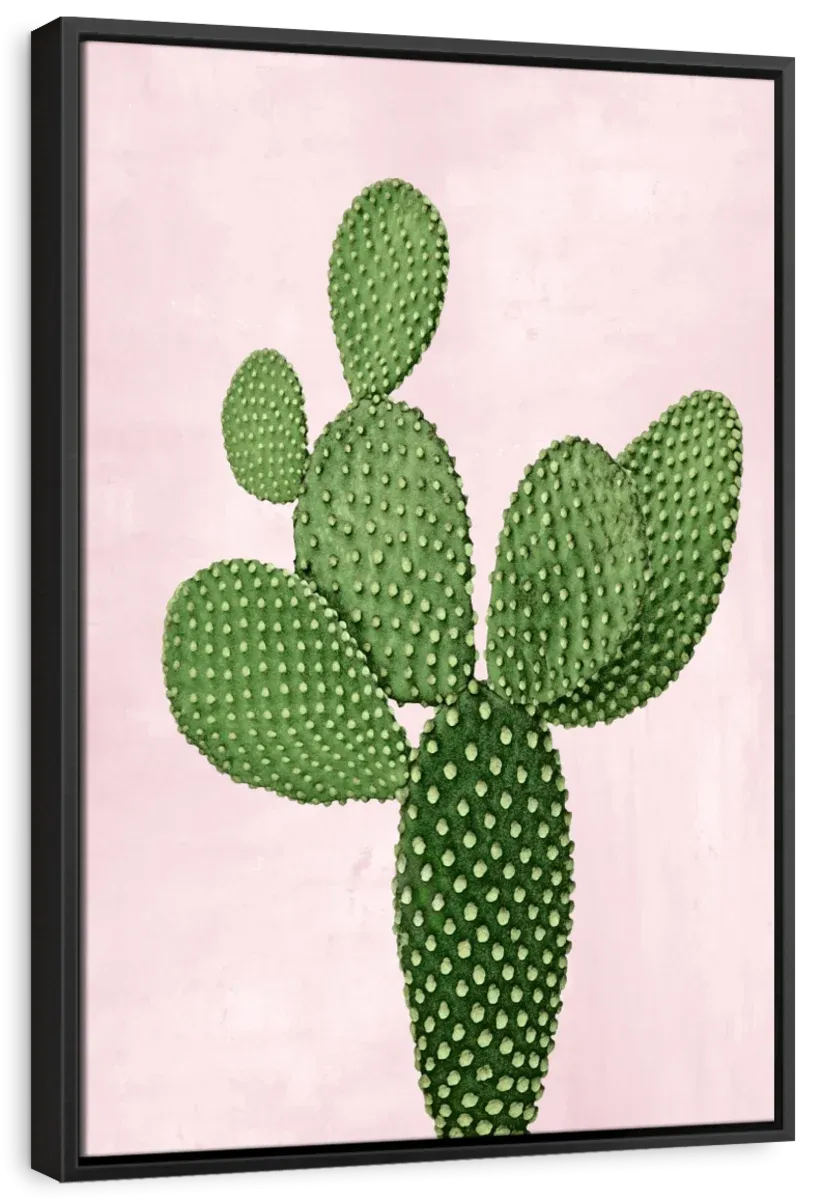 A Cactus On Pink V Wall Art