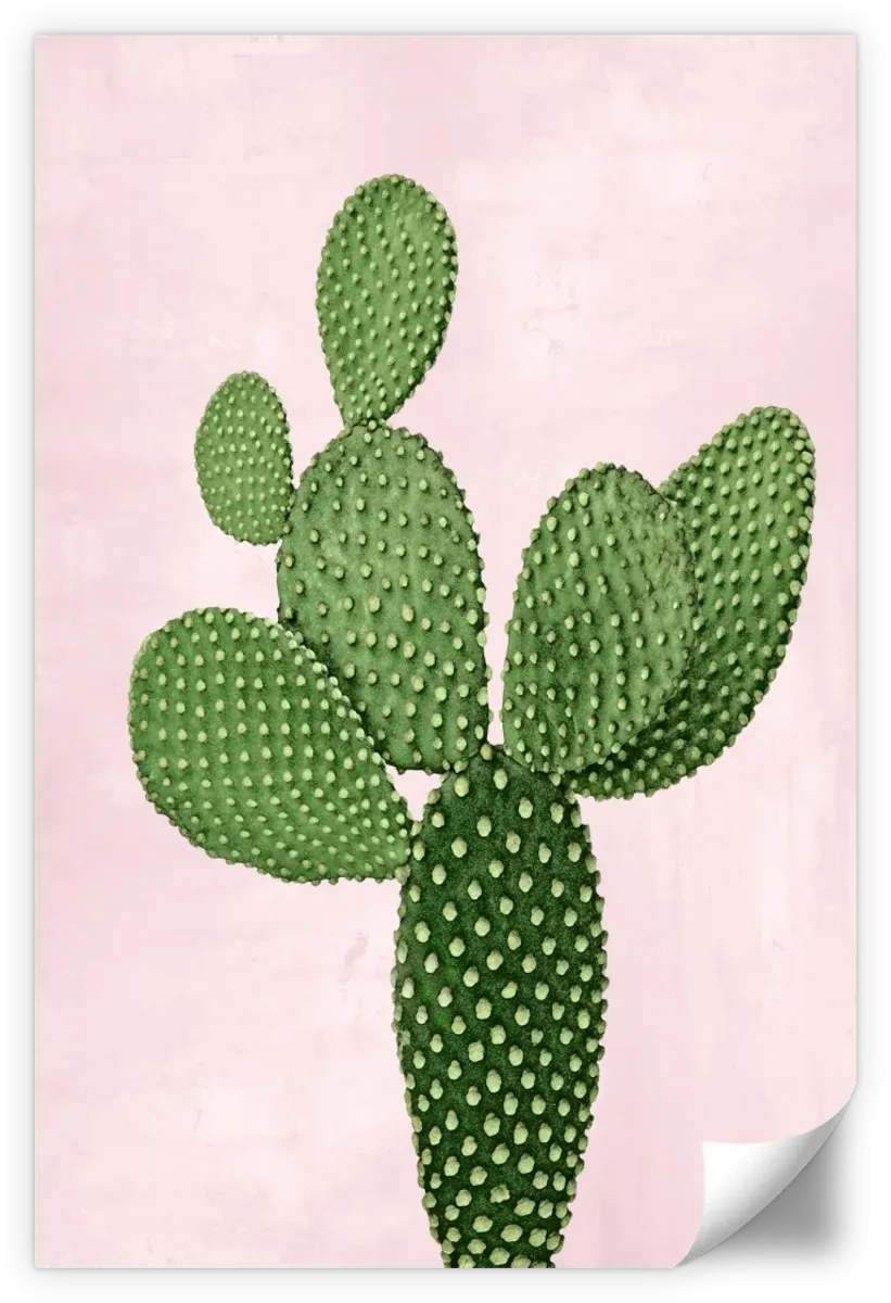 A Cactus On Pink V Wall Art