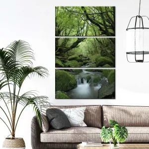 A Forest Stream Wall Art