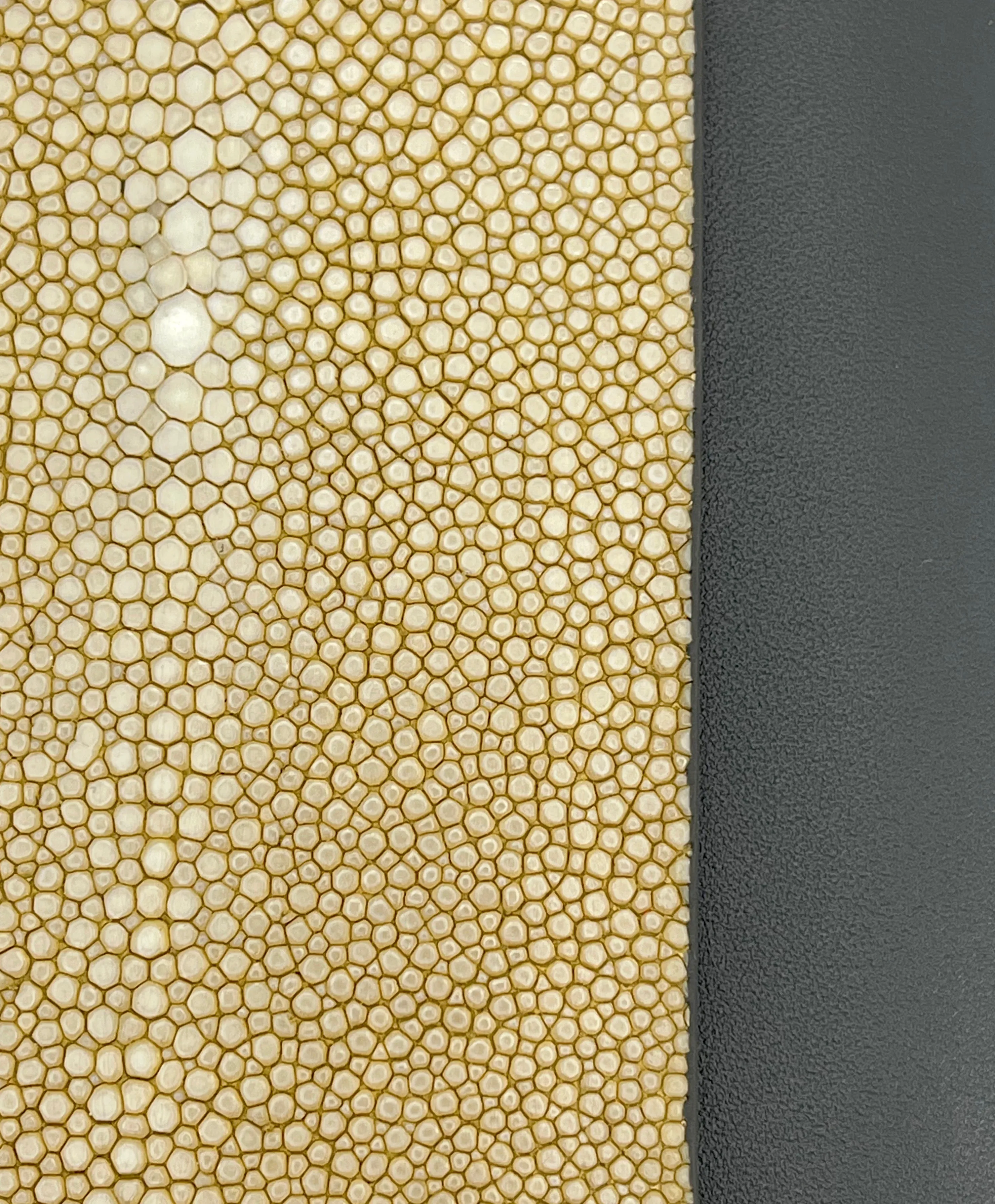 Bea II Shagreen Wallet