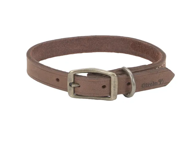 Coastal Circle T Rustic Leather Dog Collar