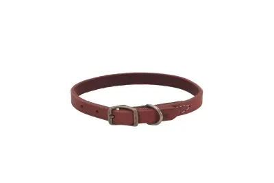 Coastal Circle T Rustic Leather Dog Collar