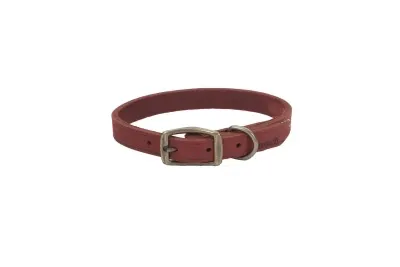 Coastal Circle T Rustic Leather Dog Collar