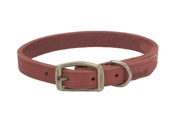 Coastal Circle T Rustic Leather Dog Collar