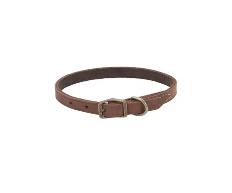 Coastal Circle T Rustic Leather Dog Collar