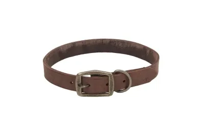 Coastal Circle T Rustic Leather Dog Collar