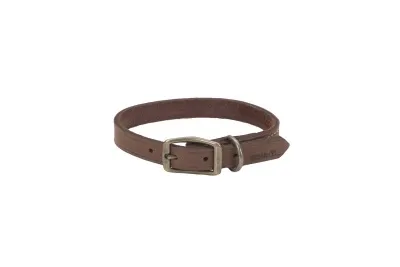 Coastal Circle T Rustic Leather Dog Collar