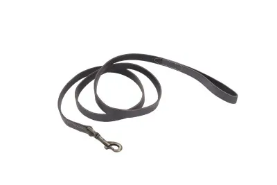 Coastal Circle T Rustic Leather Dog Leash