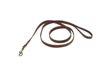 Coastal Circle T Rustic Leather Dog Leash