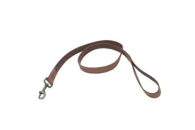 Coastal Circle T Rustic Leather Dog Leash