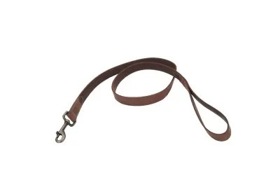 Coastal Circle T Rustic Leather Dog Leash