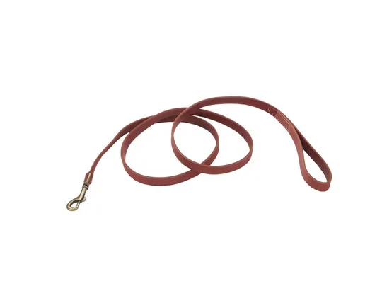 Coastal Circle T Rustic Leather Dog Leash