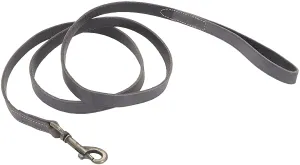 Coastal Circle T Rustic Leather Dog Leash