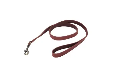 Coastal Circle T Rustic Leather Dog Leash