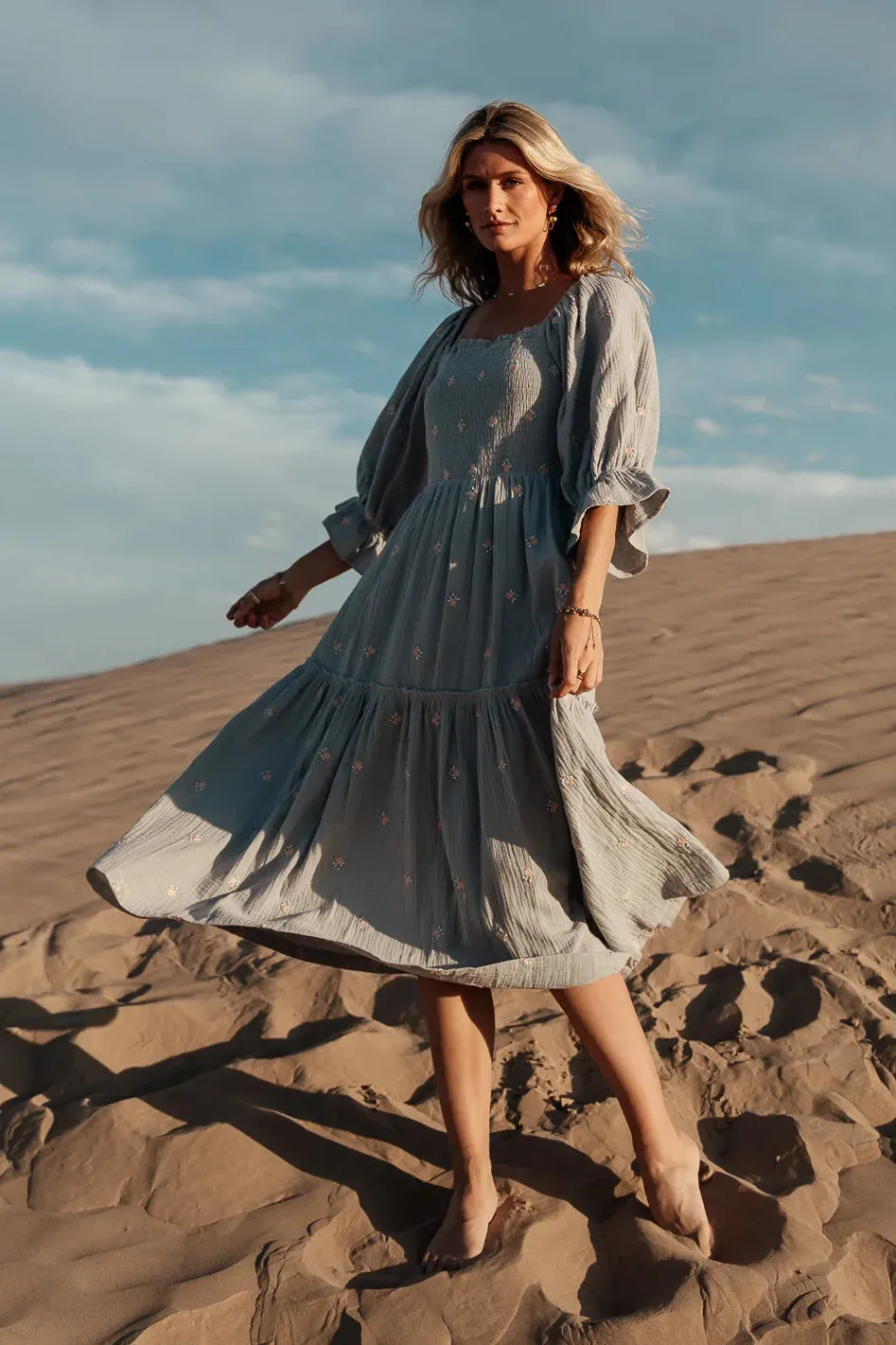 Ditsy Floral Embroidered Dress in Blue