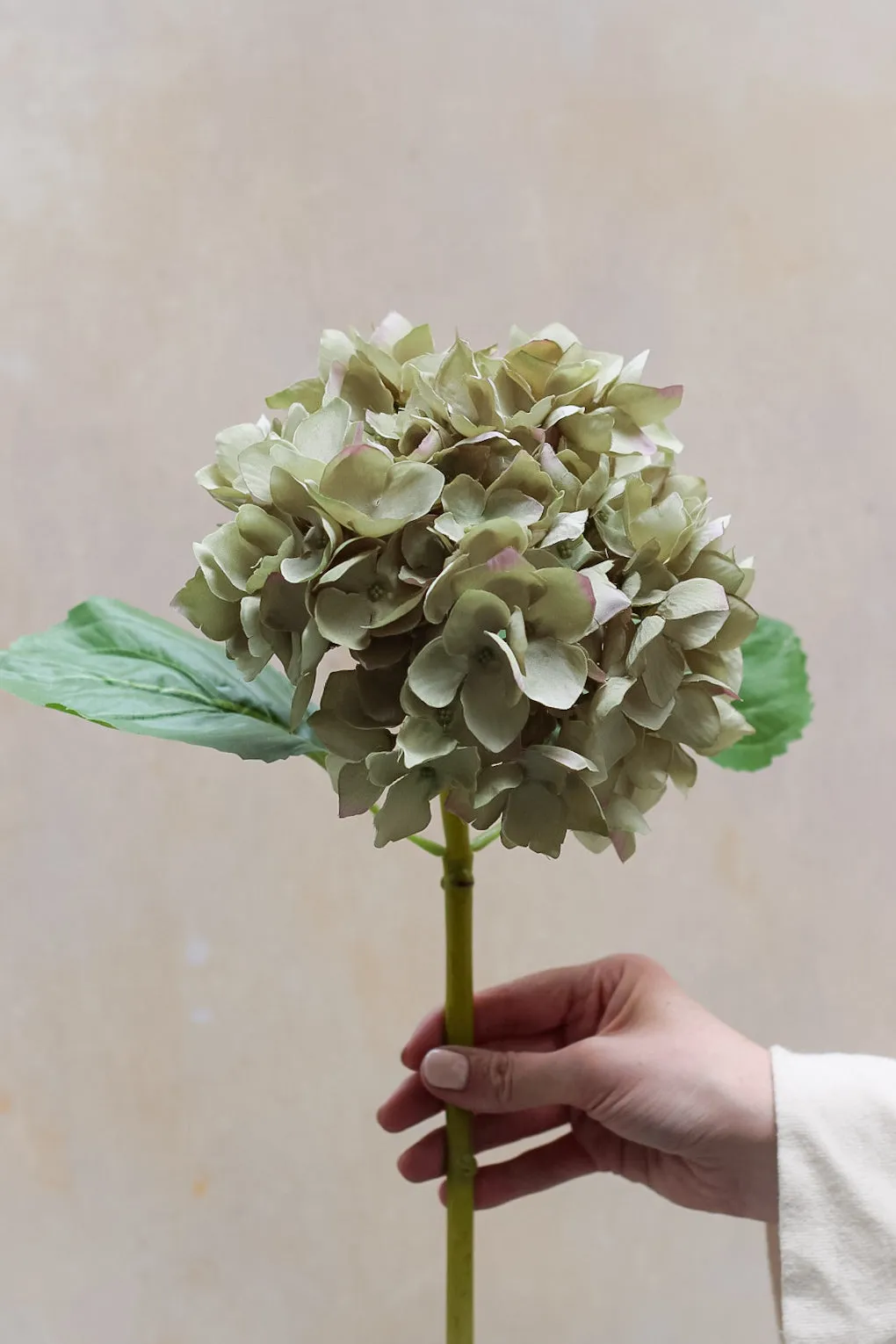 Faux Late Season Green Hydrangea Stem