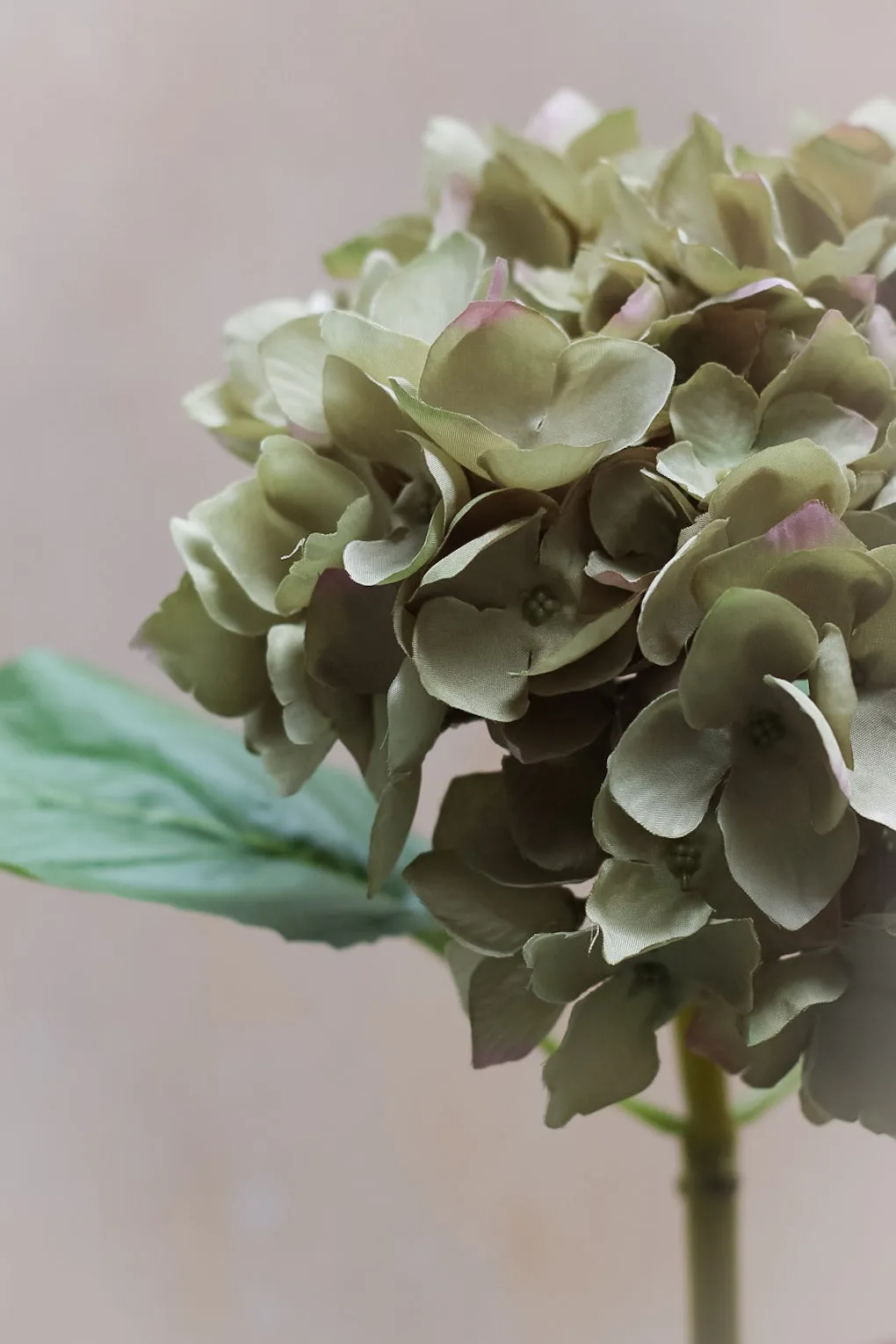 Faux Late Season Green Hydrangea Stem