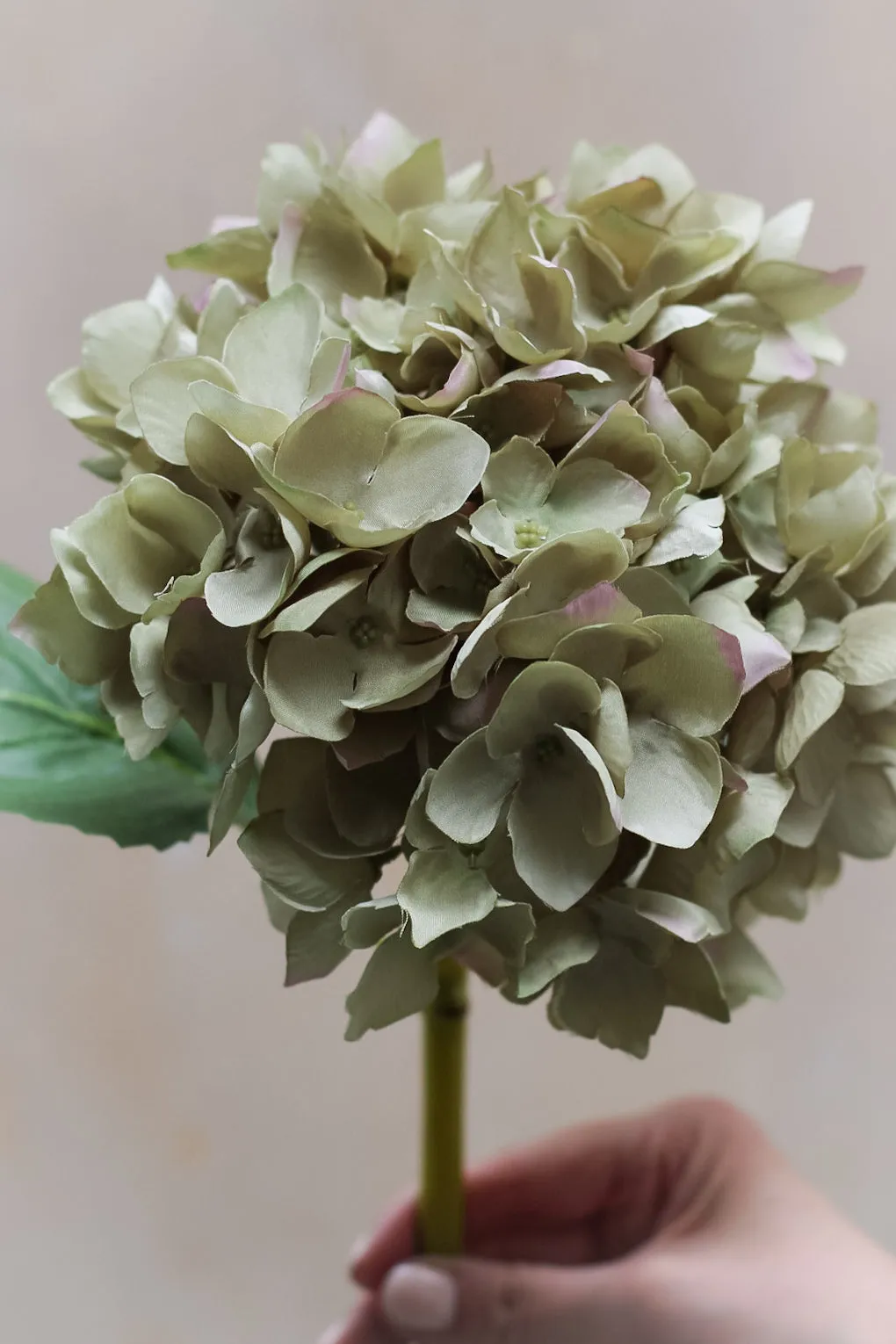 Faux Late Season Green Hydrangea Stem