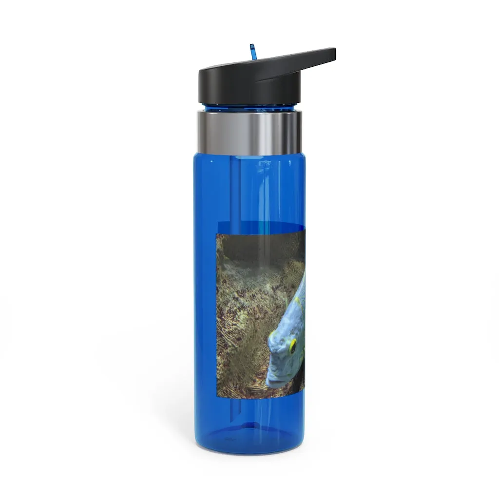 Light Blue Fish Kensington Tritan™ Sport Bottle, 20oz