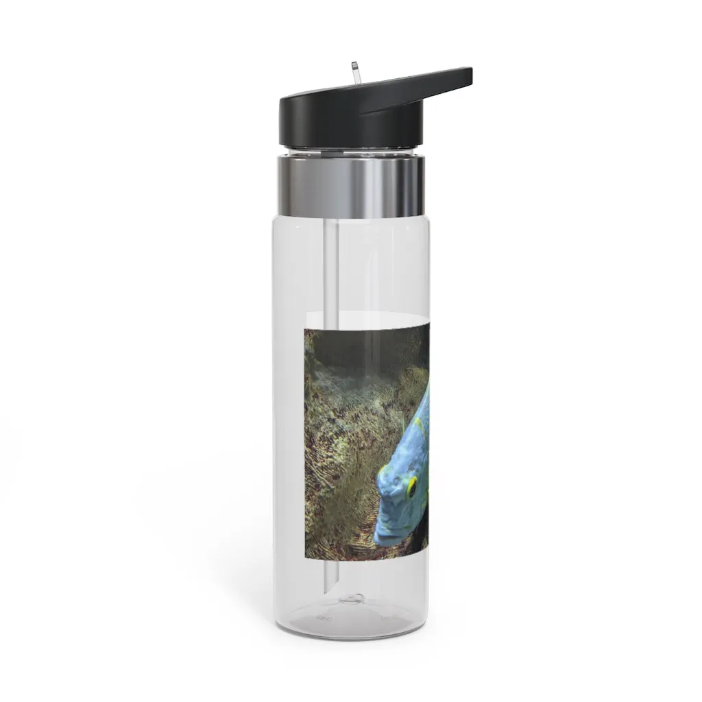 Light Blue Fish Kensington Tritan™ Sport Bottle, 20oz