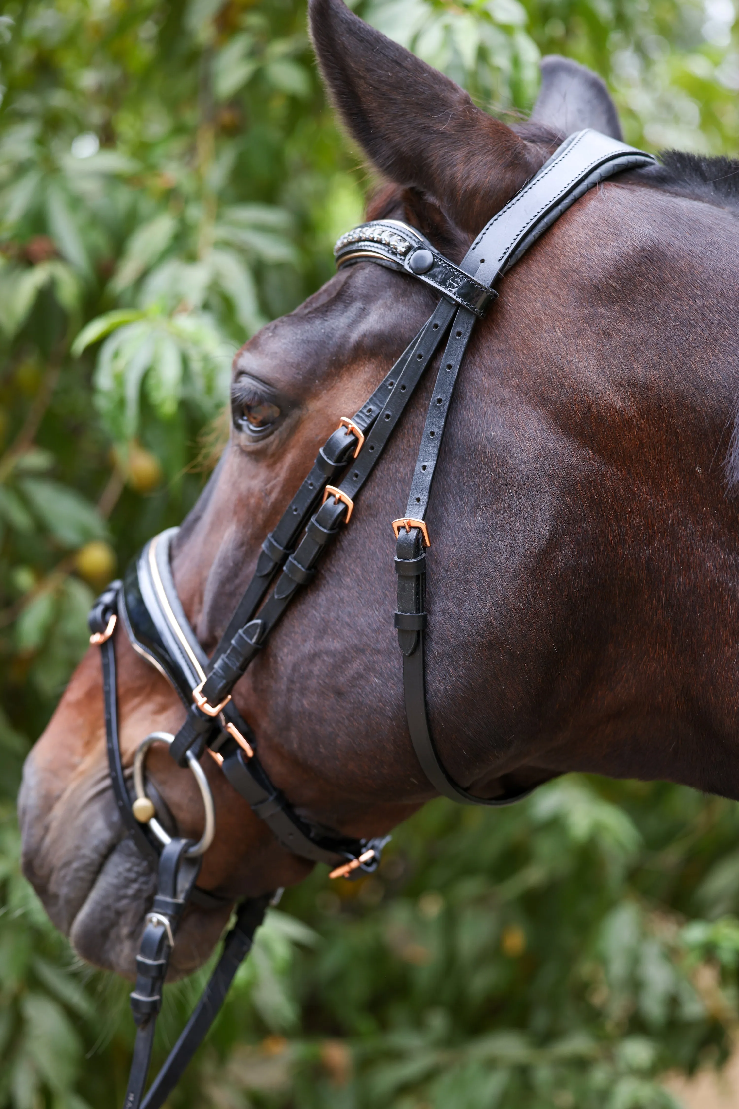 New Yorker Rose Gold Black Patent Snaffle Bridle