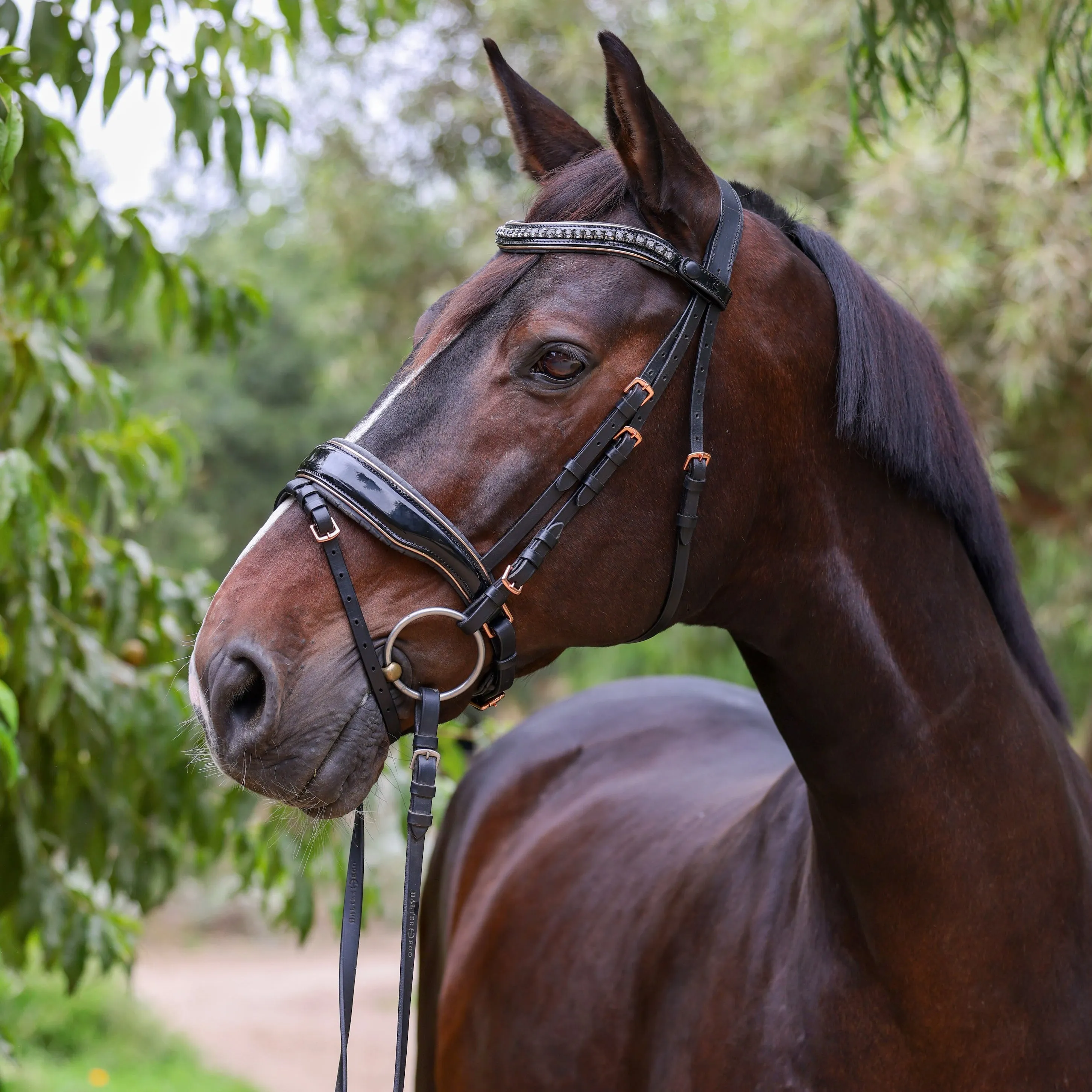 New Yorker Rose Gold Black Patent Snaffle Bridle