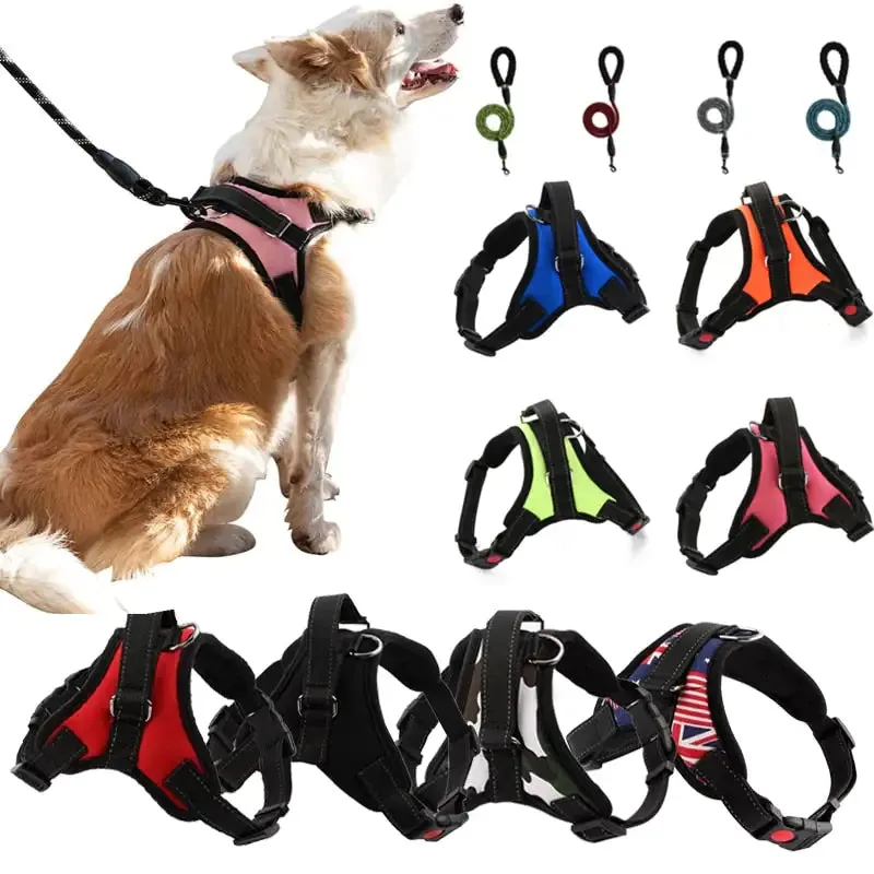 Pet Walking Harness Adjustable Comfort