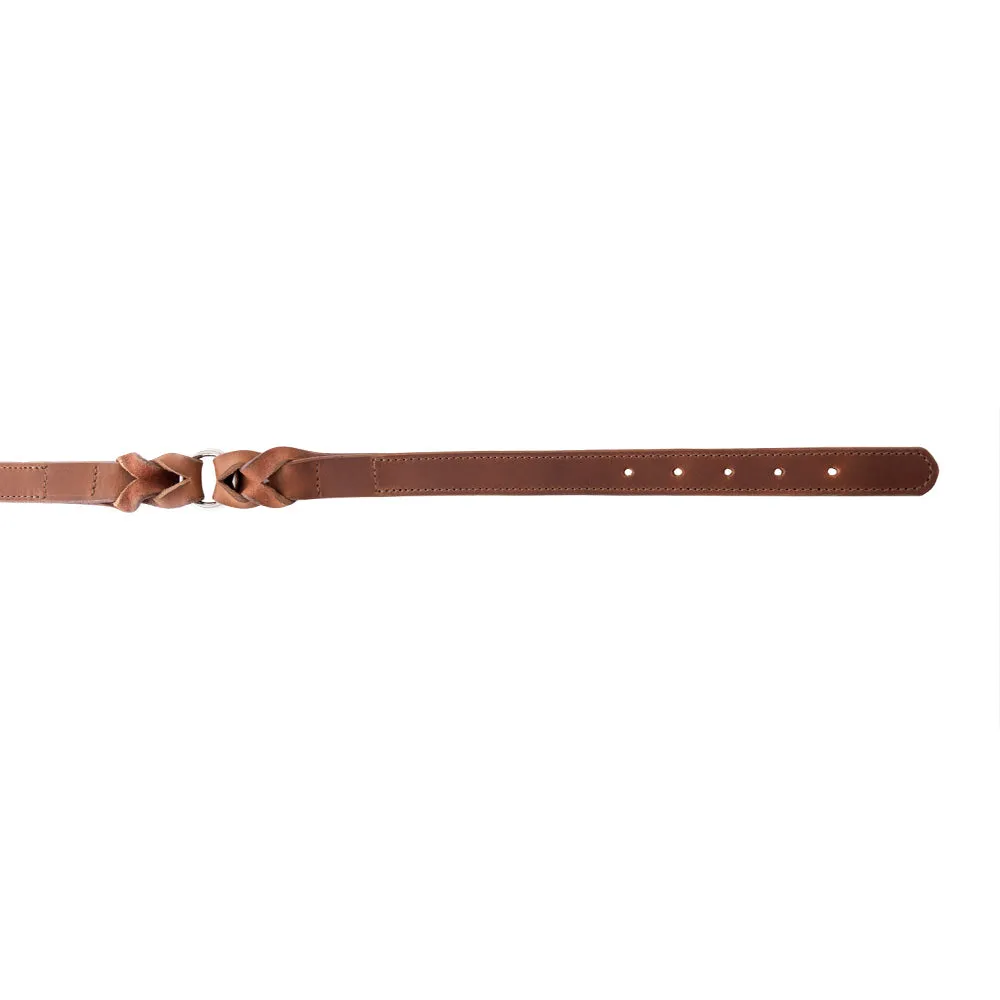 Topside Dog Collar in Chocolate