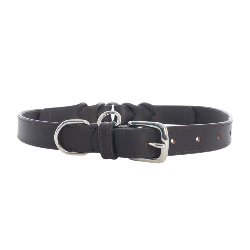 Topside Dog Collar in Ebony