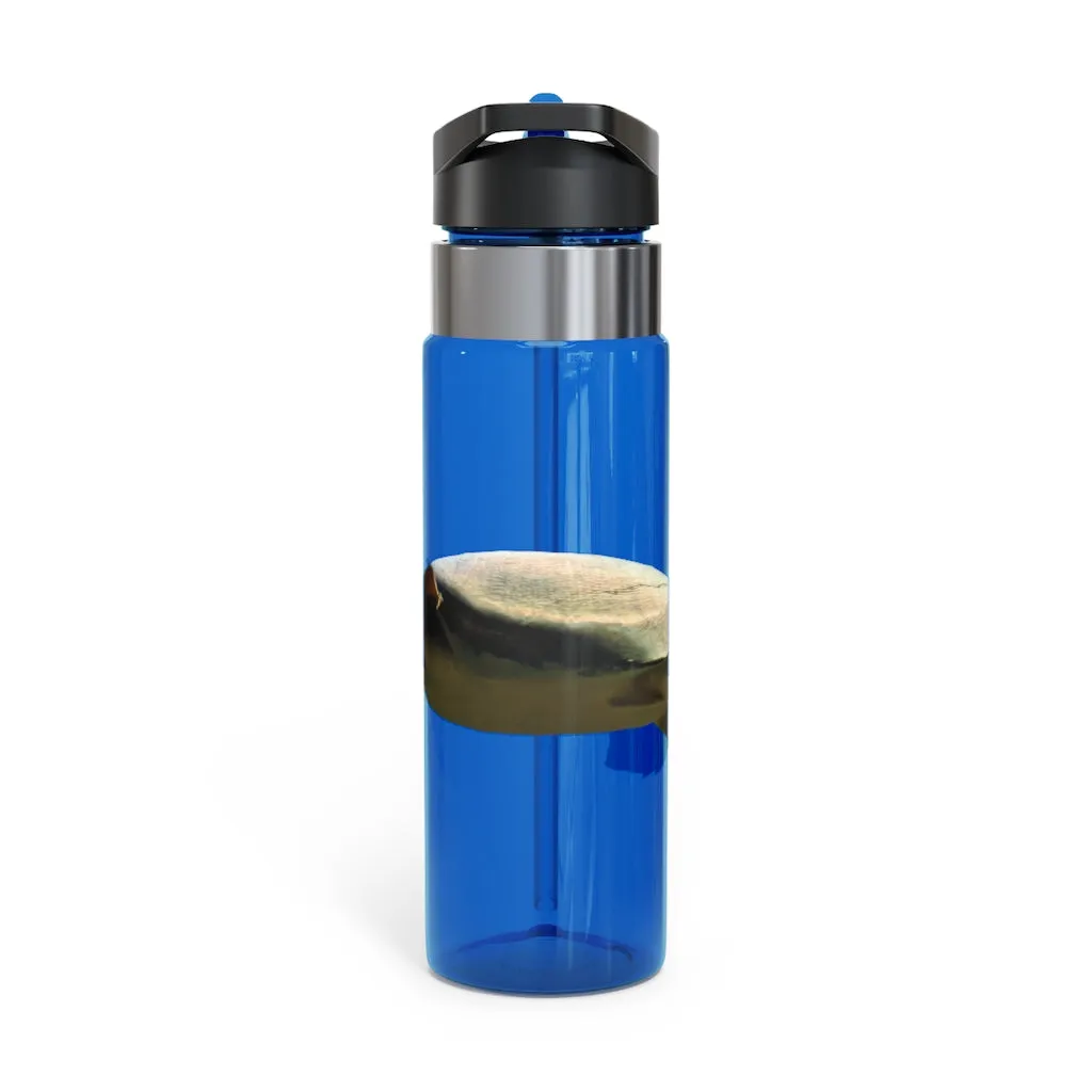 Turtle Kensington Tritan™ Sport Bottle, 20oz