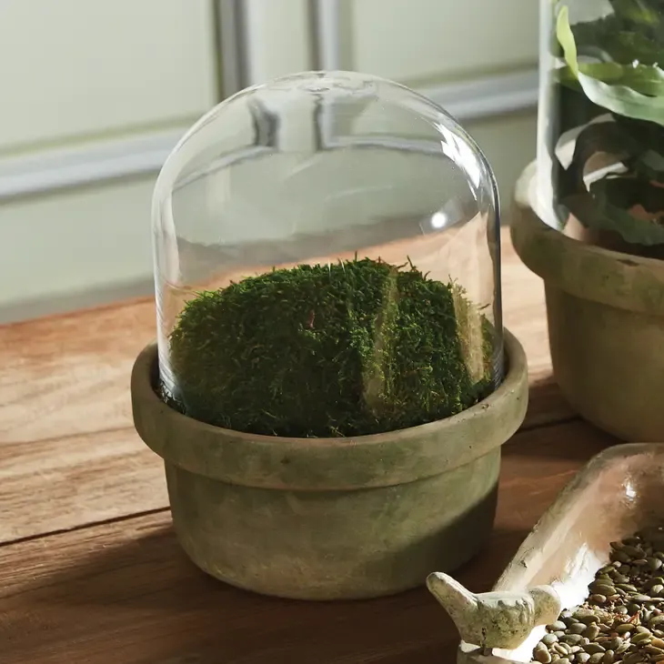 Weathered Garden Terrarium